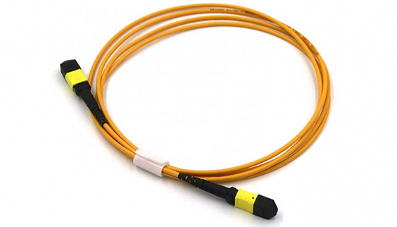 MTP/MPO Singlemode 3.0mm Trunk Cable Patch Cord