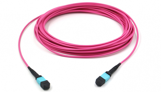 CXP/CFP 100G MPO Cable Assembly