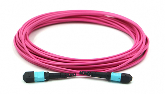 CXP/CFP 100G MPO Cable Assembly