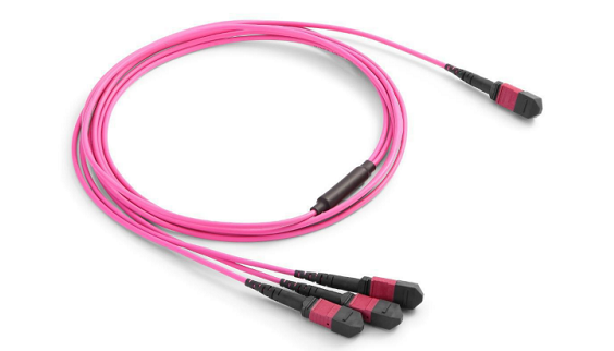 MTP/MPO Shuffle cable