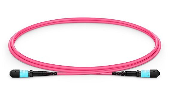 OM4 MTP® to MTP® Female, 12 Fibers Elite Trunk Cable, Type A/B