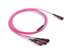 MPO Hydra/Harness Cables